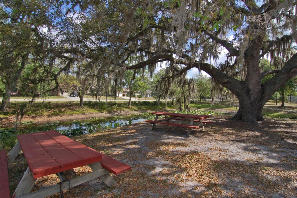 Colonial Oaks in Sarasota Nearby Park 