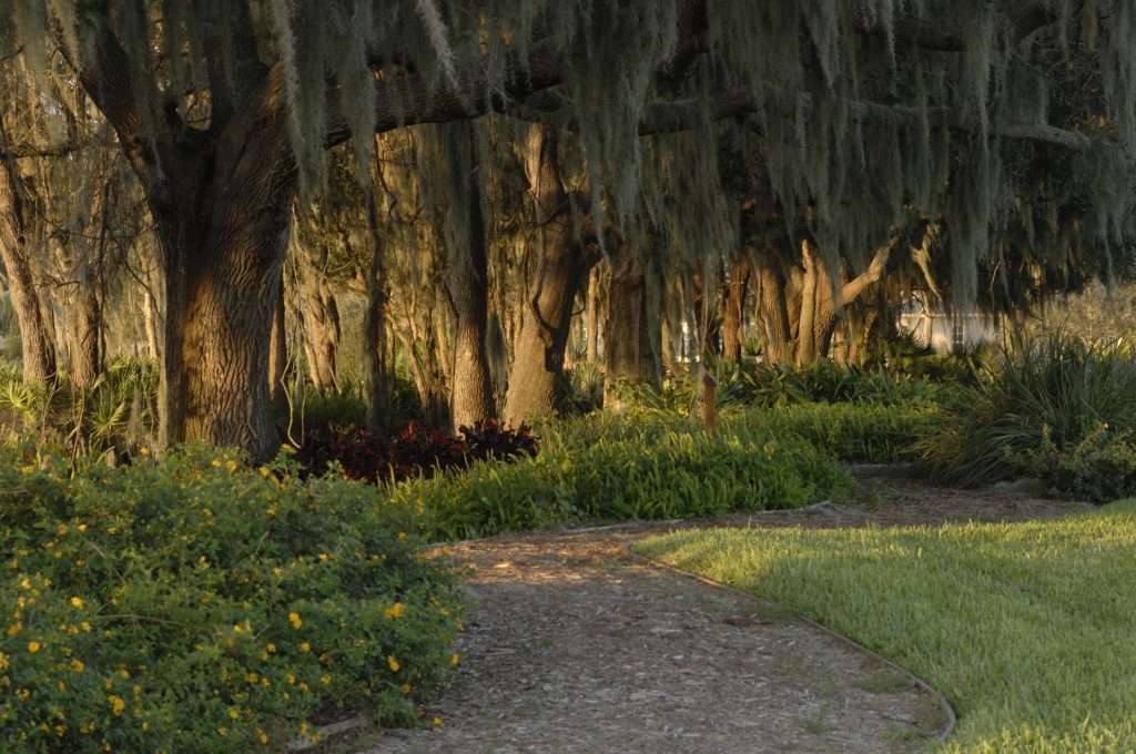 Forest Creek, Nature Trails