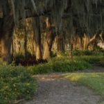 Forest Creek, Nature Trails