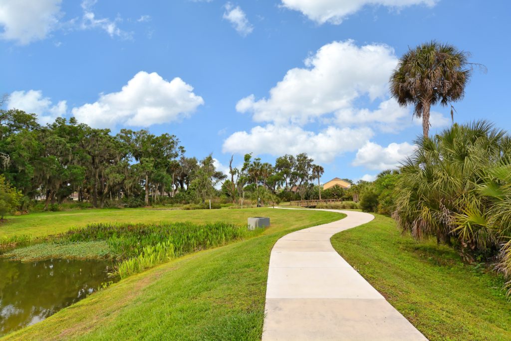 Forest Creek in Parrish Nature Trails