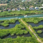 The Landings in Sarasota Intracoastal