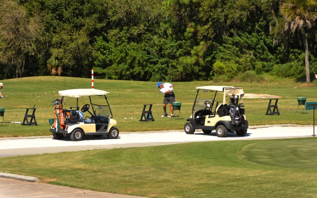 Pelican Pointe Golf & Country Club in Venice