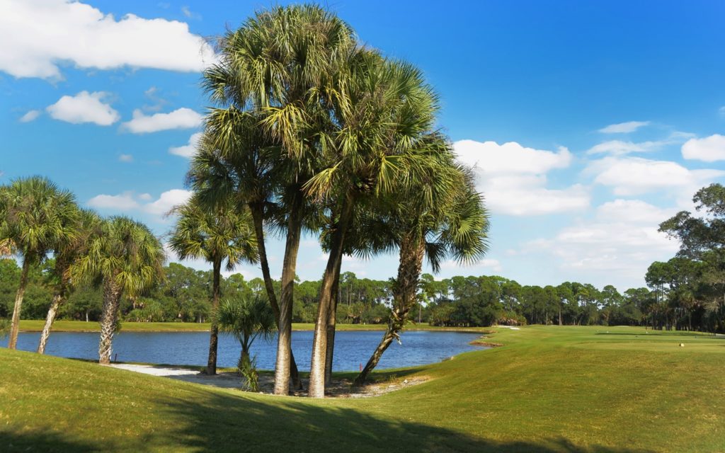 Pelican Pointe in Venice Lakes