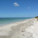 Pierre in Longboat Key Beach