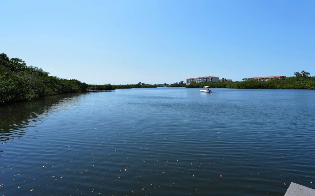 River Forest in Sarasota Neighborhood on Phillippi Creek