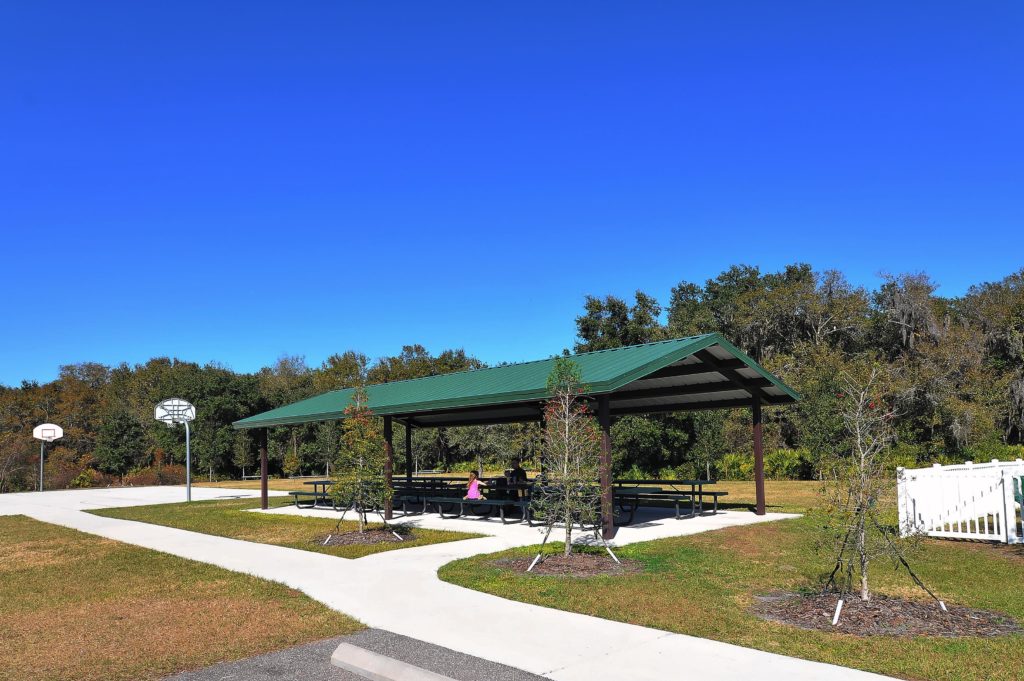 Oakleaf Hammock in Ellenton Picnic Area