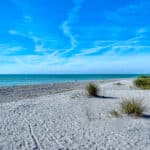 Gulf Shores in Venice Condos for Sale